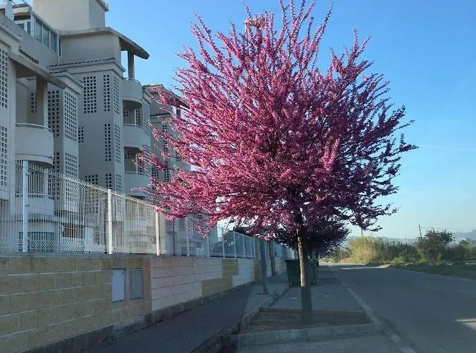 Planta Baja Playa Sol 2 Apartamento Dénia